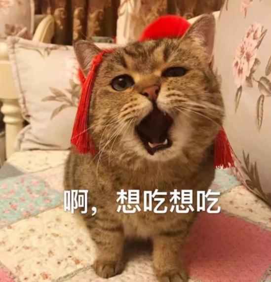 人可以吃猫粮吗？