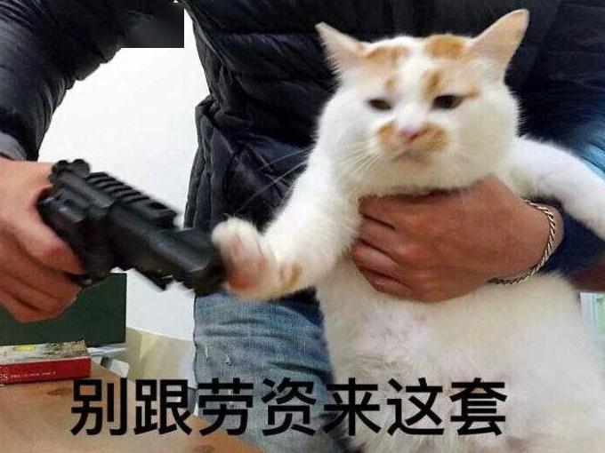 人可以吃猫粮吗？